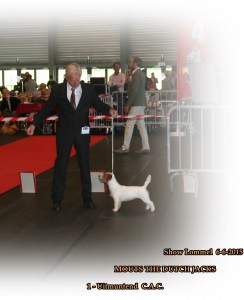 Show Lommel 056