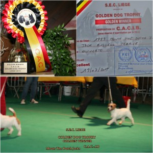 cats MOUTS  WINNER GOLDEN TROPHY 2015